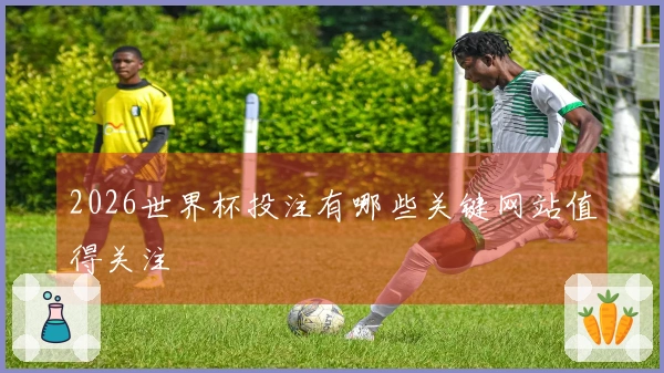 2026世界杯投注有哪些关键网站值得关注