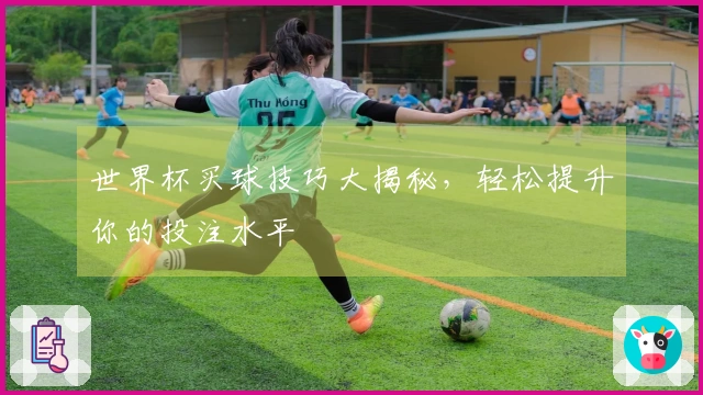 世界杯买球技巧大揭秘，轻松提升你的投注水平