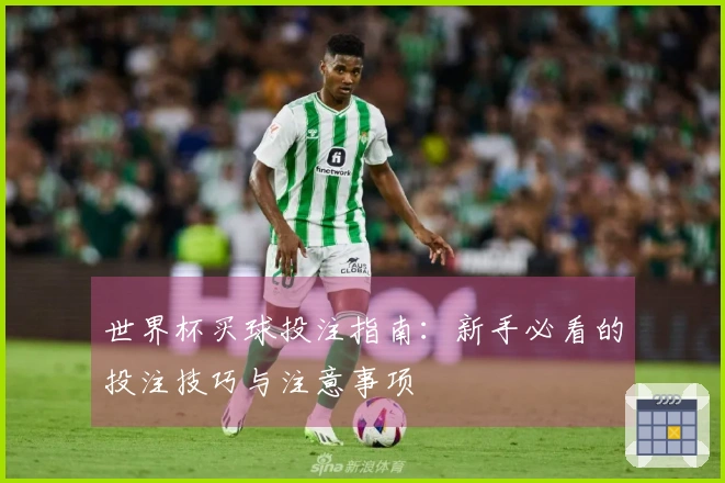 世界杯买球投注指南：新手必看的投注技巧与注意事项
