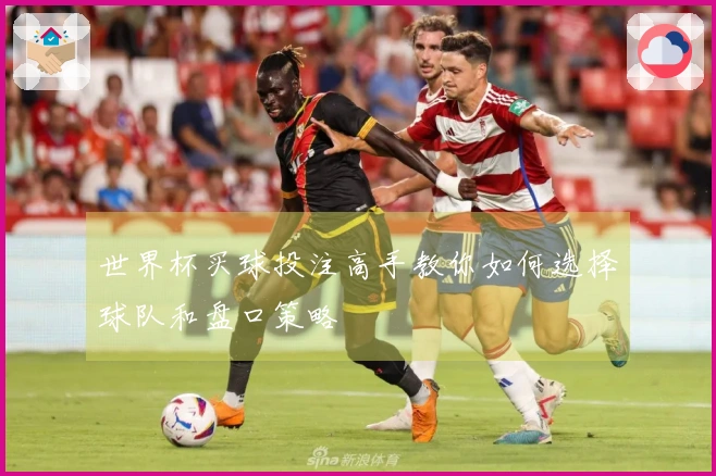 世界杯买球投注高手教你如何选择球队和盘口策略