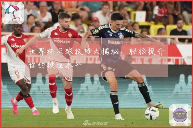 世界杯买球技巧大揭秘，轻松提升你的投注水平