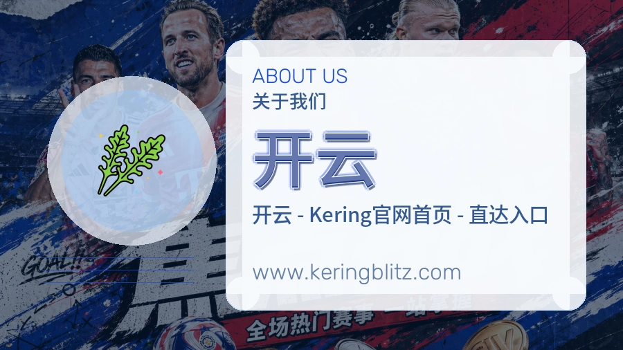 <strong>开云</strong>公司服务观